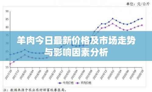 羊肉今日最新价格及市场走势与影响因素分析