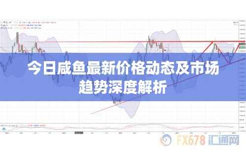 今日咸鱼最新价格动态及市场趋势深度解析