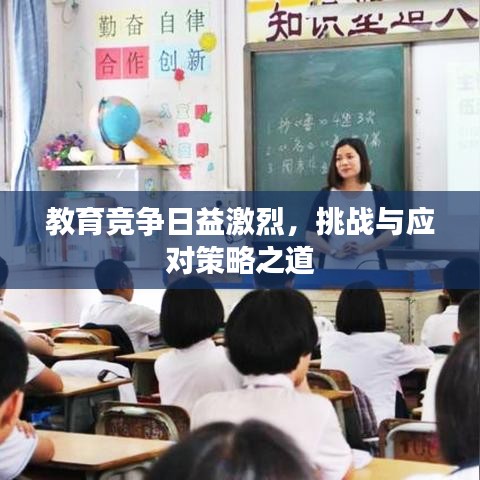 教育竞争日益激烈，挑战与应对策略之道