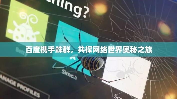 百度携手蛛群，共探网络世界奥秘之旅