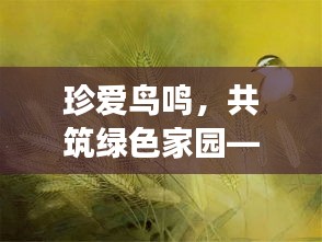 诚心诚意