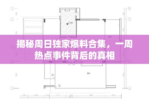 揭秘周日独家爆料合集，一周热点事件背后的真相