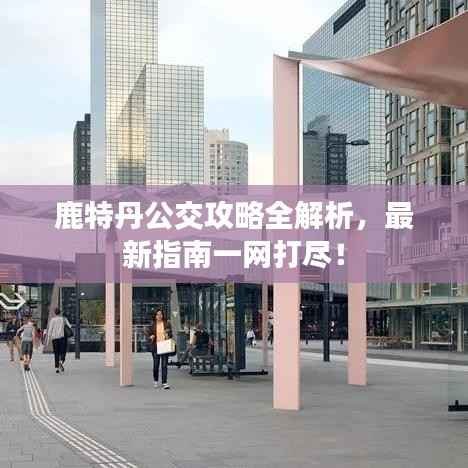 鹿特丹公交攻略全解析,最新指南一网打尽!