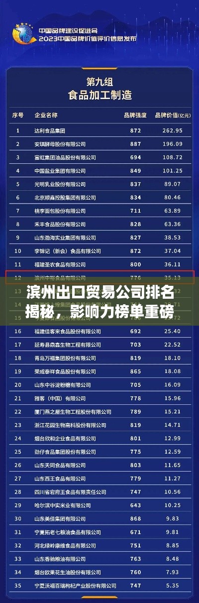 滨州出口贸易公司排名揭秘，影响力榜单重磅出炉！