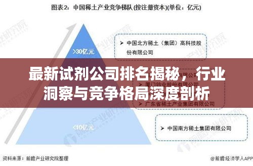 最新试剂公司排名揭秘，行业洞察与竞争格局深度剖析