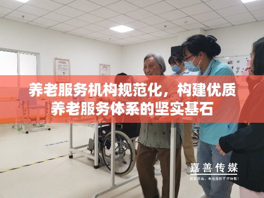 养老服务机构规范化，构建优质养老服务体系的坚实基石