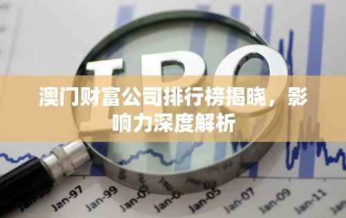 澳门财富公司排行榜揭晓，影响力深度解析