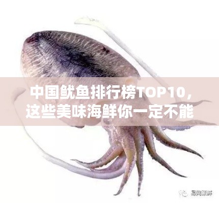 caoshuaicongshi