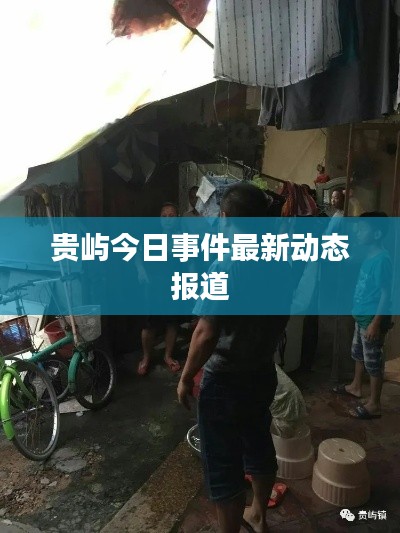 贵屿今日事件最新动态报道