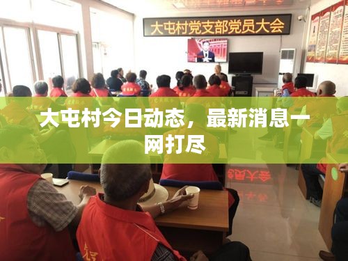 大屯村今日动态，最新消息一网打尽