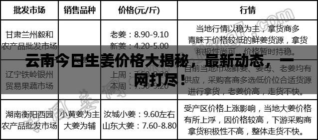 施工现场 第10页