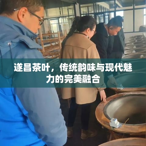 2025年4月 第11页