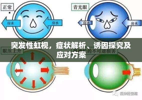 突发性虹视，症状解析、诱因探究及应对方案