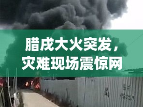 2025年4月 第5页