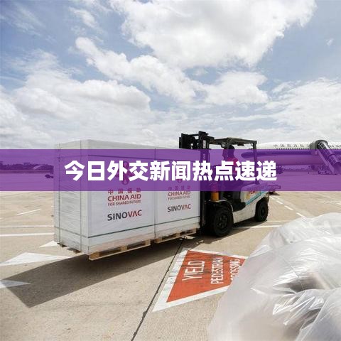今日外交新闻热点速递