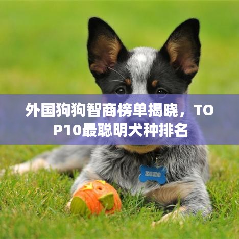 2025年4月 第2页