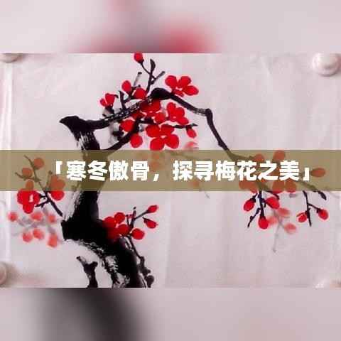 「寒冬傲骨,探寻梅花之美」
