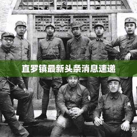 直罗镇最新头条消息速递