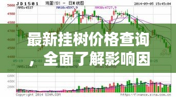 2025年5月15日 第3页