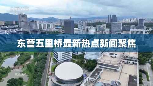 东营五里桥最新热点新闻聚焦