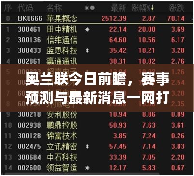 2025年5月16日 第3页