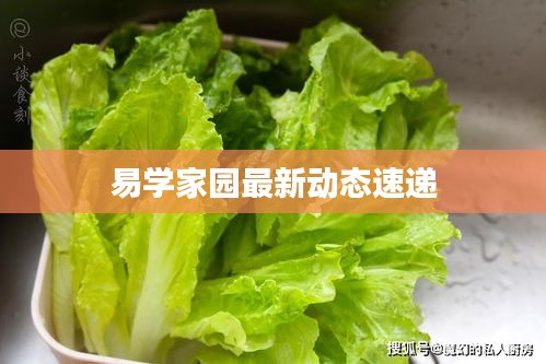 易学家园最新动态速递