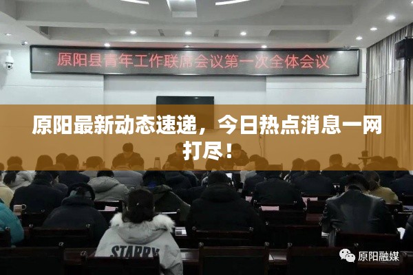 原阳最新动态速递，今日热点消息一网打尽！