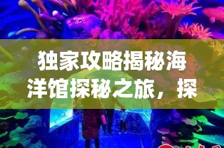 独家攻略揭秘海洋馆探秘之旅，探索神秘海底世界的最佳指南！