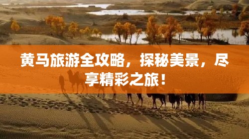 黄马旅游全攻略，探秘美景，尽享精彩之旅！
