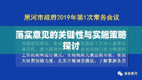 落实意见的关键性与实施策略探讨
