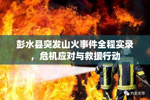 彭水县突发山火事件全程实录，危机应对与救援行动