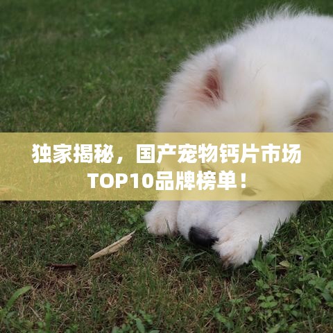 独家揭秘，国产宠物钙片市场TOP10品牌榜单！