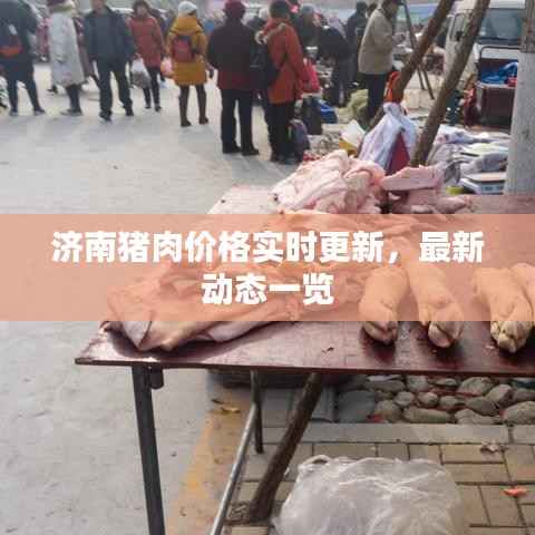 济南猪肉价格实时更新,最新动态一览
