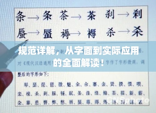 规范详解,从字面到实际应用的全面解读!