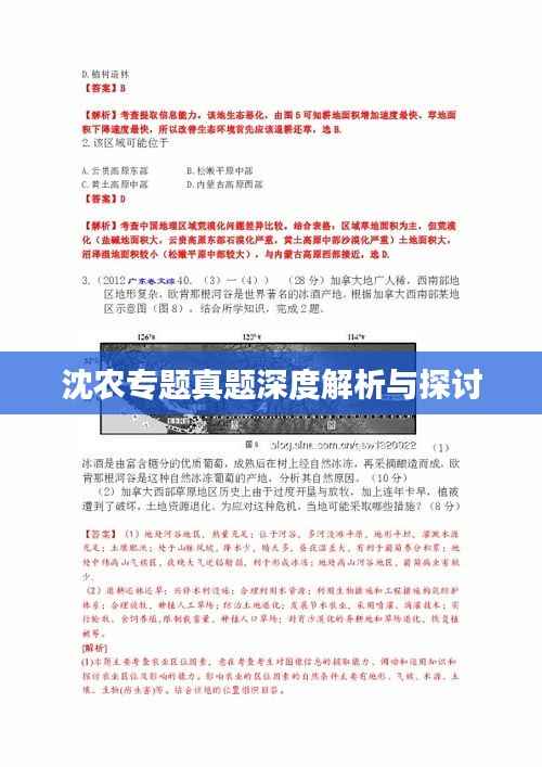 沈农专题真题深度解析与探讨