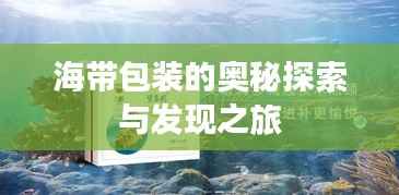 海带包装的奥秘探索与发现之旅