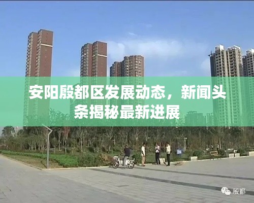 安阳殷都区发展动态,新闻头条揭秘最新进展