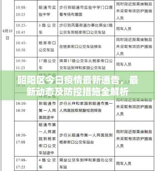 昭阳区今日疫情最新通告,最新动态及防控措施全解析