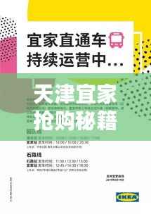天津宜家抢购秘籍,最新攻略一网打尽!