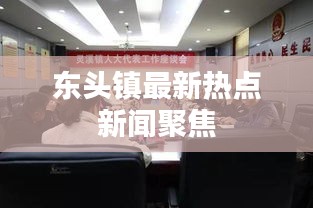 东头镇最新热点新闻聚焦