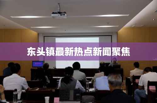 东头镇最新热点新闻聚焦