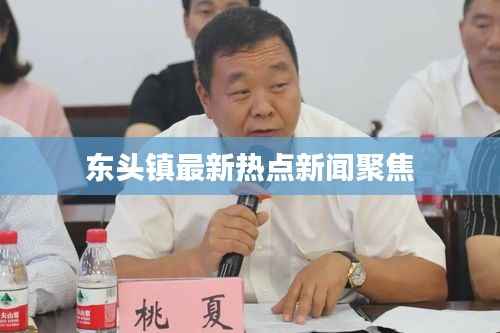 东头镇最新热点新闻聚焦