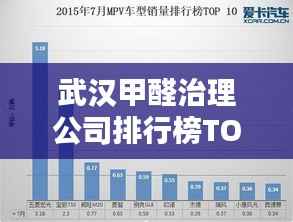 武汉甲醛治理公司排行榜TOP推荐及行业深度解析