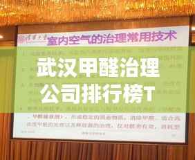武汉甲醛治理公司排行榜TOP推荐及行业深度解析