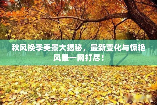 贵阴贱璧 第2页