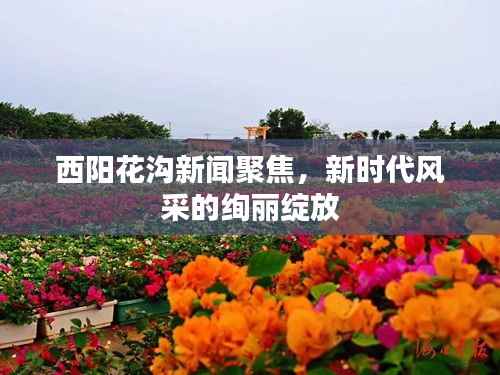 西阳花沟新闻聚焦,新时代风采的绚丽绽放