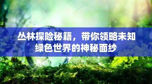 丛林探险秘籍,带你领略未知绿色世界的神秘面纱