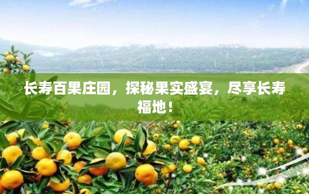 长寿百果庄园,探秘果实盛宴,尽享长寿福地!