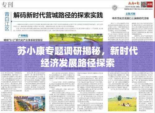 苏小康专题调研揭秘,新时代经济发展路径探索