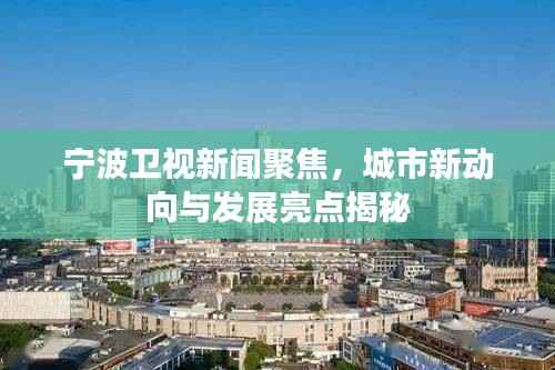 宁波卫视新闻聚焦,城市新动向与发展亮点揭秘